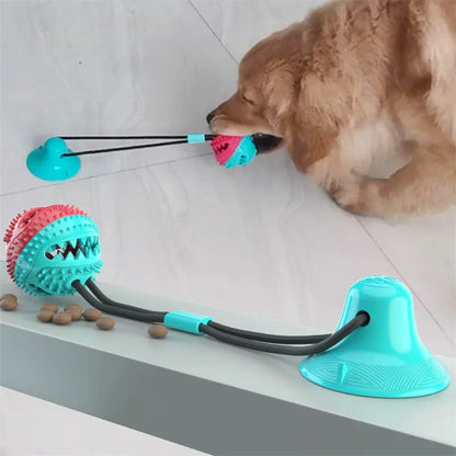 Juguete interactivo para perros con pelota de succión.