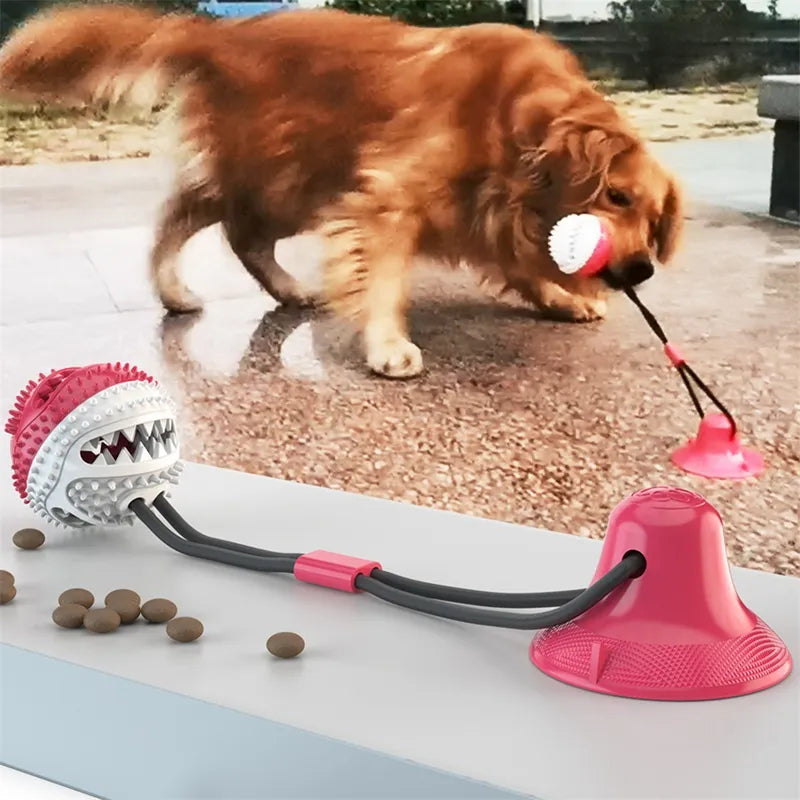 Juguete interactivo para perros con pelota de succión.