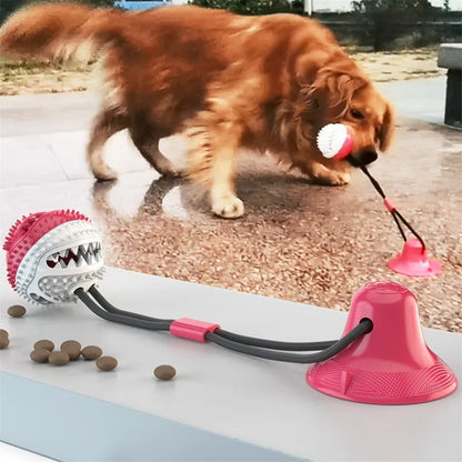 Juguete interactivo para perros con pelota de succión.