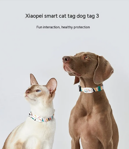 Monitor de Actividad para Perros